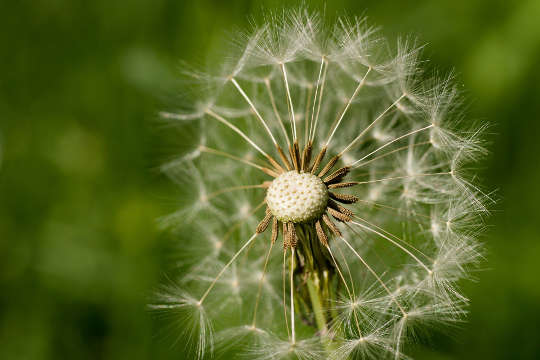 Acceptance&nbsp;and Change: Nature Changes Often